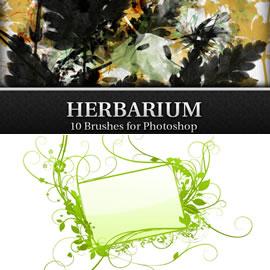 许多许多许多Photoshop花纹笔刷