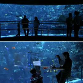 三星3D LED TV广告