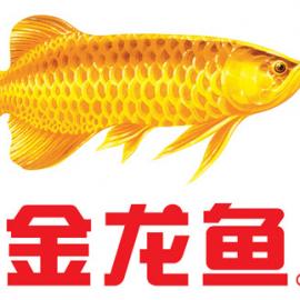 金龙鱼2007年世界女排大奖赛总决赛―吉祥物：金龙鱼