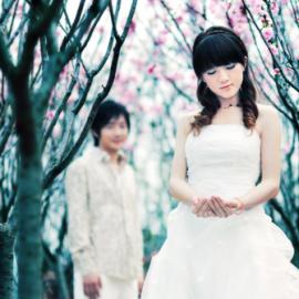 2008春夏外景流行趋势1