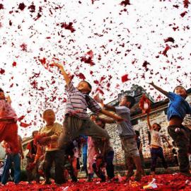 “美格色域  纯粹视界大赏”摄影大赛获奖作品