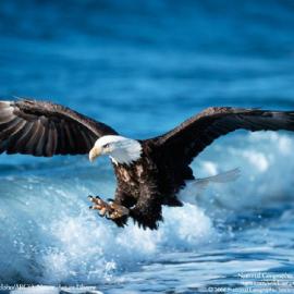 优秀摄影作品欣赏