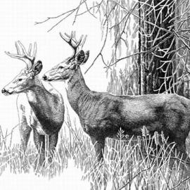 中华铅笔画精选