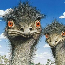 照片级的手绘插画壁纸