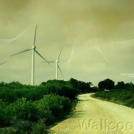 分形艺术图欣赏