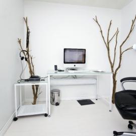 来自叫做Deskography的网站，用户上传分享自己的办公环境