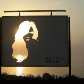 是个非常有名的时尚染发品牌