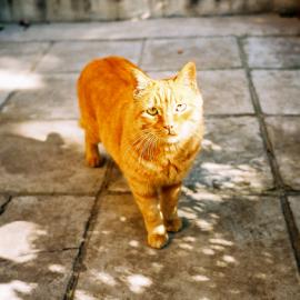 “白日梦”奥林巴斯U2 摄影作品