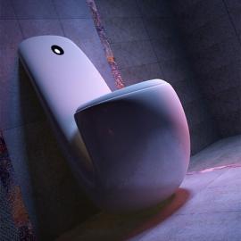 俄国卫生间设计比赛