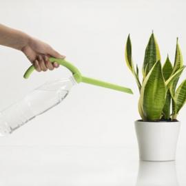 任何的空瓶子都是花洒
