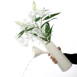 漏斗花瓶