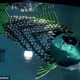 可以探测河水污染的机器鱼