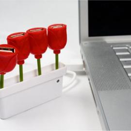 郁金香?USB集线器