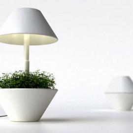 把LED灯作为光照的基础