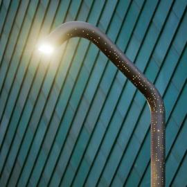 钻满小洞的灯柱