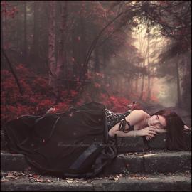 来自Senderosolvidados的一组数字照片合成作品