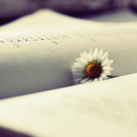 来自matthewpoland的一组非常安静清新的小图