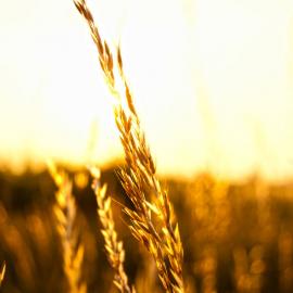 时光愀然流失，青春戛然