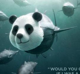 如果我是一个熊猫