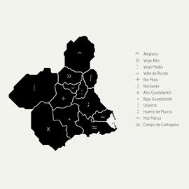 Escudos de Murcia 视觉设计