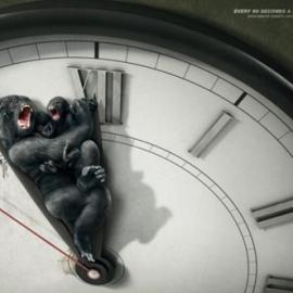 Every 60 seconds a species dies out