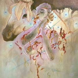 在烟雨中，也许我曾见过你-----------瑞士naomi illustrations