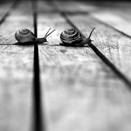 创意黑白摄影ing