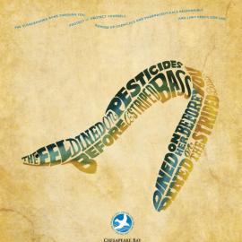 海湾基金会文字创意广告