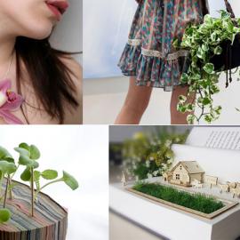 DIY生态种植合集：绿色向往