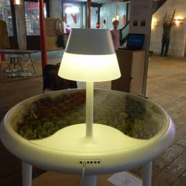 生态植物能源桌灯