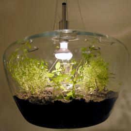 绿色植物玻璃吊灯