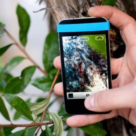 手机专用的橡皮筋微距镜头