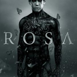 西班牙《罗萨 Rosa》短片