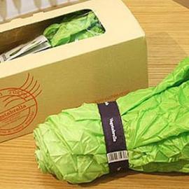 蔬菜外观的雨伞设计