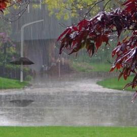 带伞的路灯设计