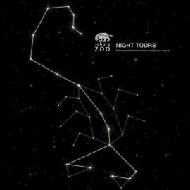 夜游约翰内斯堡动物园：动物园归来不看星