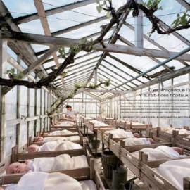 国外经典设计：DEXIA