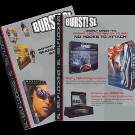 Lyubov Strauss 平面设计