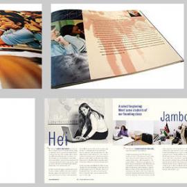 moskito 平面设计（二）