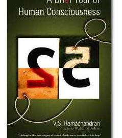 四眼制作室印刷作品