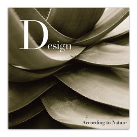 Jeronimo Sochaczewski 平面设计