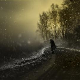 Elena Shumilova 冬天摄影