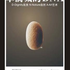 邱霖平面设计作品[一]