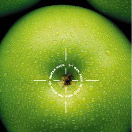 tahamtan aminian 招贴设计