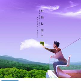 祈福新邨楼书广告