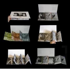 IDIL BARKAN 平面设计