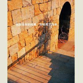 万科城系列报广