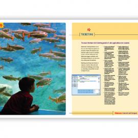 Picante Creative Inc. 平面设计