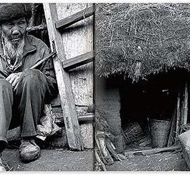 叶裴蕾的平面作品[二]