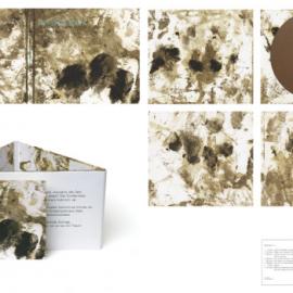 Surface 平面设计作品